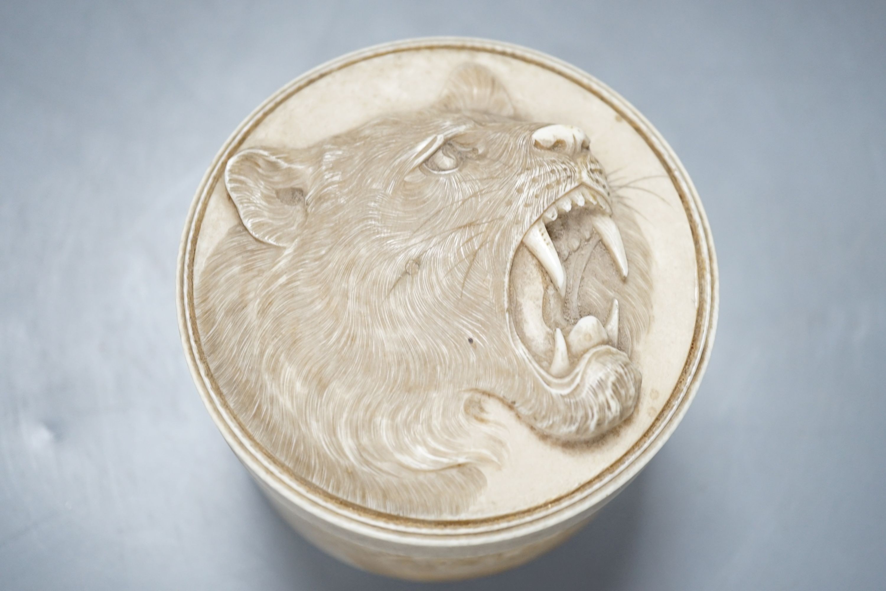 A Japanese ivory box and cover, Meiji period, carved with tigers, 9.2cm